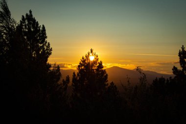 Arka planda bulutlar ve dağlar ile bir ağacın arkasında Altın gün batımı