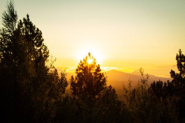 Arka planda dağlar ile bir ağacın arkasında Altın parlayan sıcak gün batımı.