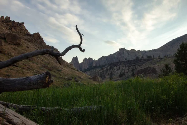 美丽的草地，在前景和悬崖背景下降的日志. — 图库照片