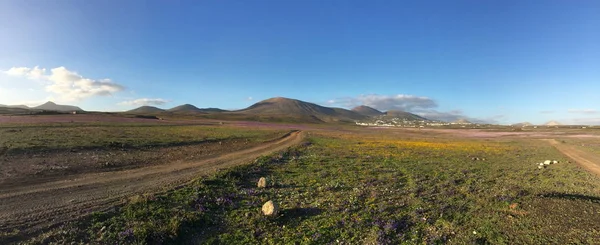 Hiszpania Wyspy Kanaryjskie Lanzarote — Zdjęcie stockowe