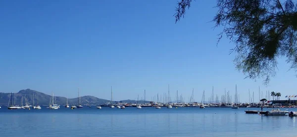 Port Pollensa Mallorca Balearen Spanje — Stockfoto