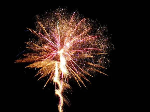 Fuegos Artificiales Que Explotan Cielo Nocturno —  Fotos de Stock