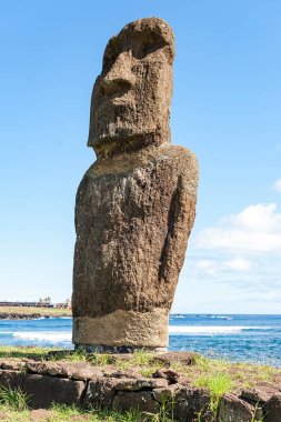 Moai veya Moai, yıl 1250 ve 1500 arasında Doğu Polinezyası Paskalya Adası 'nda Rapa Nui insanlar tarafından oyulmuş monolitik insan figürleri vardır.