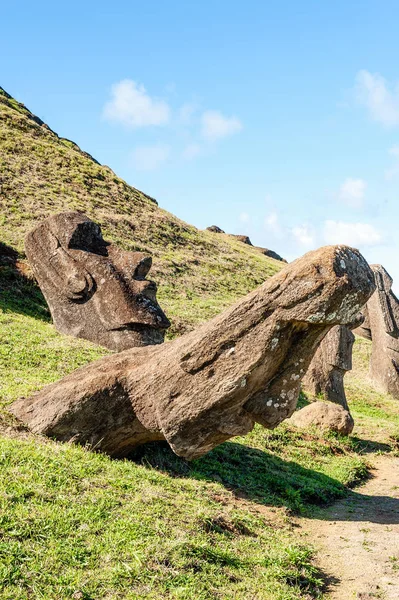 Rano Raraku, Şili 'nin Paskalya Adası' ndaki Rapa Nui Ulusal Parkı 'nda Terevaka' nın alçak yamaçlarında bulunan volkanik bir kraterdir..