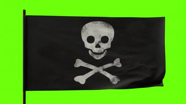 Der Alte Pirat Jolly Roger Schwenkt Die Fahne Schädel Und — Stockvideo