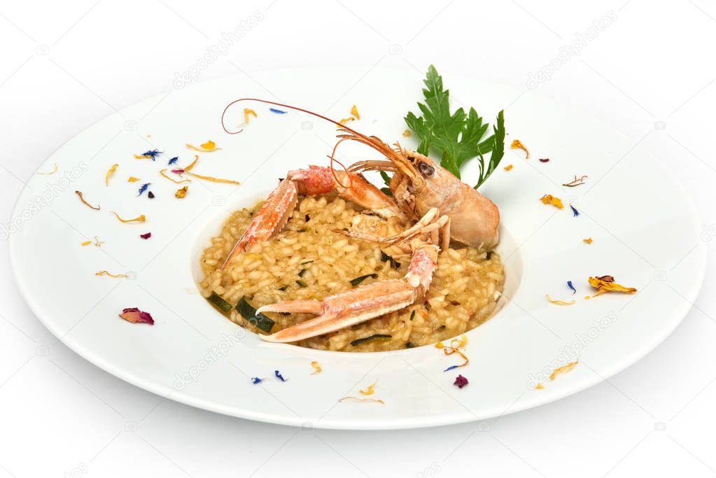 Italian food,risotto with prawns and zucchini served on white plate, isolated on white background