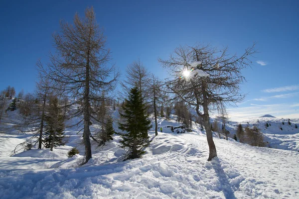 Madonna Campiglio Dolomiti Dağının Panoramik Manzara Talya — Stok fotoğraf