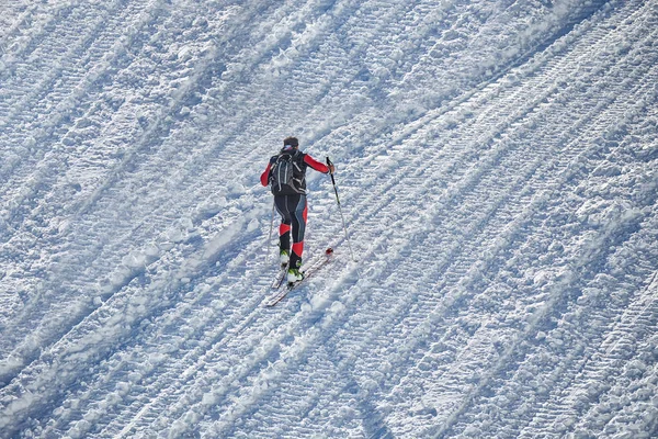 スキーヤーはスキーとアザラシに登る スキー場 イタリア パッソ Groste スキー場でスキーヤー — ストック写真