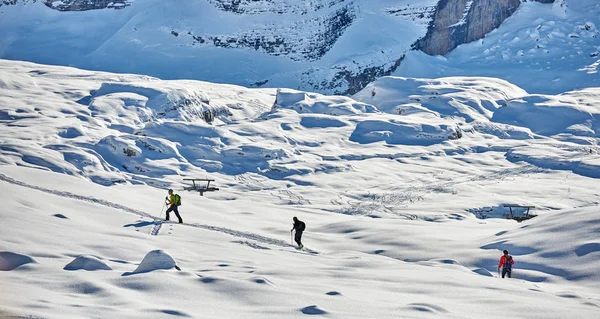 Madonna Campiglio Italia Noviembre 2014 Escalada Esquiadores Sobre Esquís Pieles — Foto de Stock
