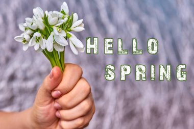 El ve bir grup kardelen metin için yer ile sunan; Merhaba Bahar yazılı not