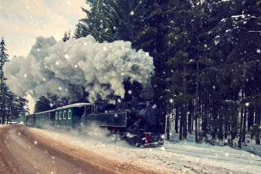 Mocanita, buharlı tren Bucovina dan kış zamanda yolculuk.