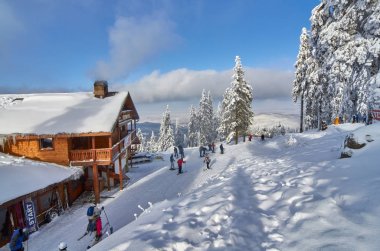 Poiana Brasov, Romanya - 12 Ocak 2013: kayakçı ve Snowboard düşkünleri güneşli bir kış, kış sezonu üzerinde karla kaplı çam ormanı üzerinde kayak pistleri Poiana Brasov kış tatil keyfini