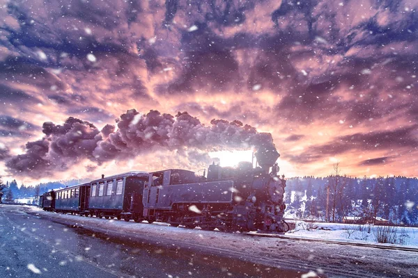 Mocanita, buharlı tren Bucovina dan kış zamanda yolculuk.