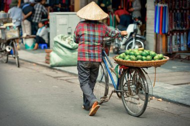 Vietnamca satıcıları ile tropikal meyve sepeti bisiklet üzerinde yüklü