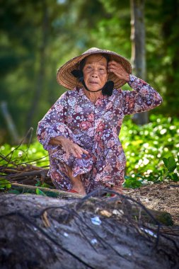 Hoi An Vietnam-04 Aralık 2014: Vietnam kadın Hoi yakınındaki plajda odun keser bir