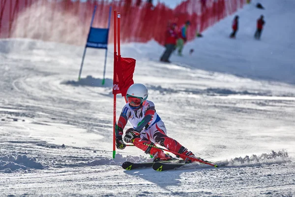 Poiana Brasov Romania Enero 2018 Esquiador Desconocido Compite Trofeo Infantil — Foto de Stock