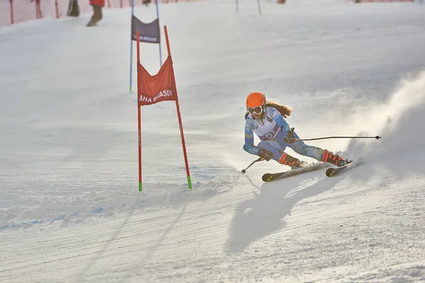 Poiana Brasov Romania Enero 2018 Esquiador Desconocido Compite Trofeo Infantil —  Fotos de Stock