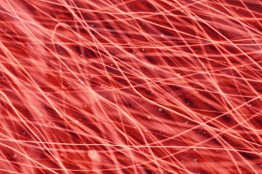 Kırmızı arka plan ile ufuk bokeh ışıklar, düşen kar etkisi ile odaklanmamış arka plan üzerinde renkli bokeh soyut bulanık