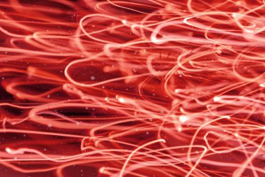 Kırmızı arka plan ile ufuk bokeh ışıklar, düşen kar etkisi ile odaklanmamış arka plan üzerinde renkli bokeh soyut bulanık