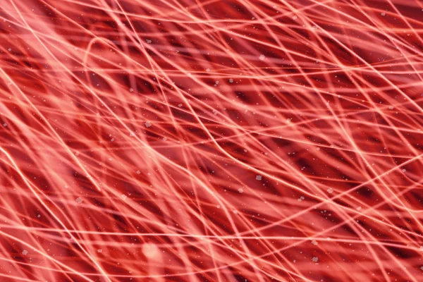 Kırmızı arka plan ile ufuk bokeh ışıklar, düşen kar etkisi ile odaklanmamış arka plan üzerinde renkli bokeh soyut bulanık