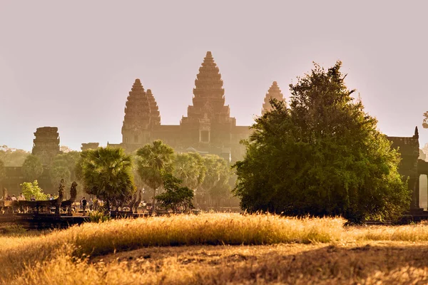 Veduta Angkor Wat All Alba Parco Archeologico Siem Reap Cambogia — Foto Stock