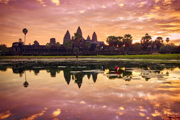 Veduta Angkor Wat All Alba Parco Archeologico Siem Reap Cambogia — Foto Stock