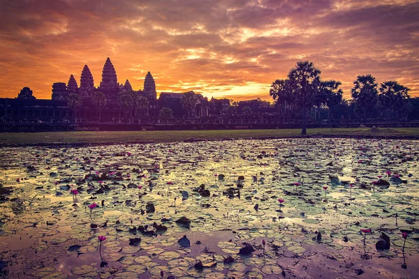 Veduta Angkor Wat All Alba Parco Archeologico Siem Reap Cambogia — Foto Stock