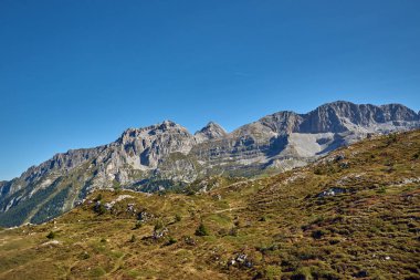 Dağları Madonna di Campiglio Madonna di Campiglio yaz, İtalya, Kuzey ve orta Brenta dağ grupları, Western Dolomites, Trentino-Alto Adige, İtalya