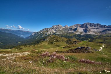 Dağları Madonna di Campiglio Madonna di Campiglio yaz, İtalya, Kuzey ve orta Brenta dağ grupları, Western Dolomites, Trentino-Alto Adige, İtalya