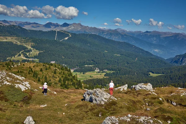 Montañas Alrededor Madonna Campiglio Madonna Campiglio Verano Italia Norte Centro — Foto de Stock