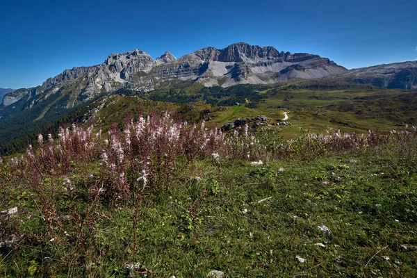 Dağları Madonna Campiglio Madonna Campiglio Yaz Talya Kuzey Orta Brenta — Stok fotoğraf