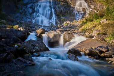 Val di Genova Pinzolo yaz aylarında, Adamello Brenta Tabiat Parkı, Kuzey Italya'nin yakınındaki Nardis şelaleler