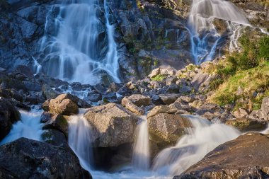 Val di Genova Pinzolo yaz aylarında, Adamello Brenta Tabiat Parkı, Kuzey Italya'nin yakınındaki Nardis şelaleler