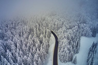 Yüksek dağ dolambaçlı yoldan hava görünümünü geçmek karla kaplı ağaçlar Transilvanya, Romanya, dron kış zamanında kavisli yol manzarası ile