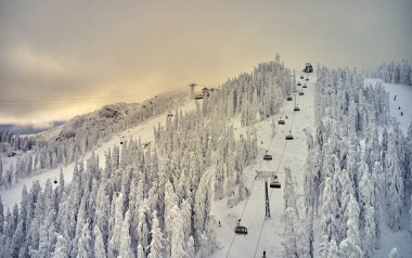 Hava üzerinde Karpatlar dağlarda muhteşem kayak pistleri, Panoramic görünümü üzerinde kayak pisti Poiana Brasov kayak merkezi Transilvanya, Romanya, Avrupa'da kış sezon karla kaplı çam ormanı