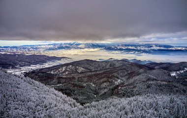 Hava üzerinde Karpatlar dağlarda muhteşem kayak pistleri, Panoramic görünümü üzerinde kayak pisti Poiana Brasov kayak merkezi Transilvanya, Romanya, Avrupa'da kış sezon karla kaplı çam ormanı