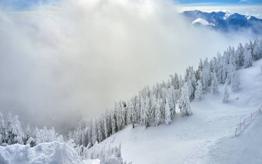 Hava üzerinde Karpatlar dağlarda muhteşem kayak pistleri, Panoramic görünümü üzerinde kayak pisti Poiana Brasov kayak merkezi Transilvanya, Romanya, Avrupa'da kış sezon karla kaplı çam ormanı
