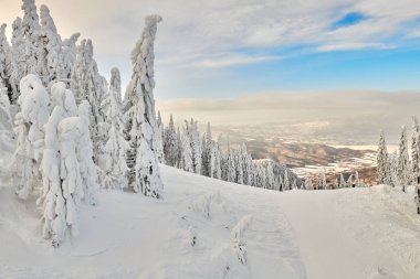 Kayak pisti Poiana Brasov kayak merkezi Transylvania'da, kış sezonu üzerinde karla kaplı dağ manzara whith çam ormanı üzerinden panoramik görünüm