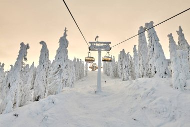 Poiana Brasov kayak merkezi, kayakçılar ve Snowboard düşkünleri asansörde sandalye tadını kayak yamaçlarına Poiana Brasov kış resort whit ormandaki kaplı kar kış sezonu