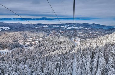 Çam orman kaplı kar kış sezonu, Poiana Brasov dağ peyzaj manzaralı kayak pisti, Transilvanya, Romanya