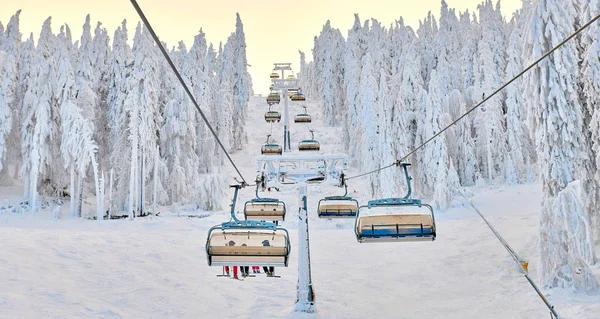 Poiana Brasov Kayak Merkezi Kayakçılar Snowboard Düşkünleri Asansörde Sandalye Tadını — Stok fotoğraf