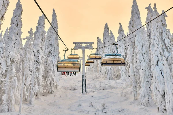 Poiana Brasov kayak merkezi, kayakçılar ve Snowboard düşkünleri asansörde sandalye tadını kayak yamaçlarına Poiana Brasov kış resort whit ormandaki kaplı kar kış sezonu