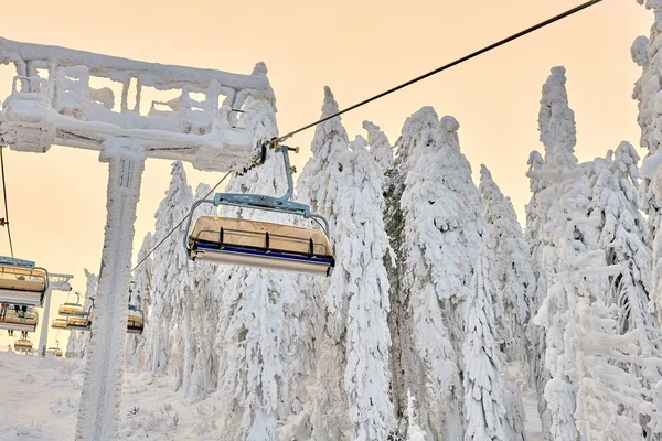Telesilla Poiana Brasov Estación Esquí Esquiadores Snowboarders Disfrutar Las Pistas —  Fotos de Stock