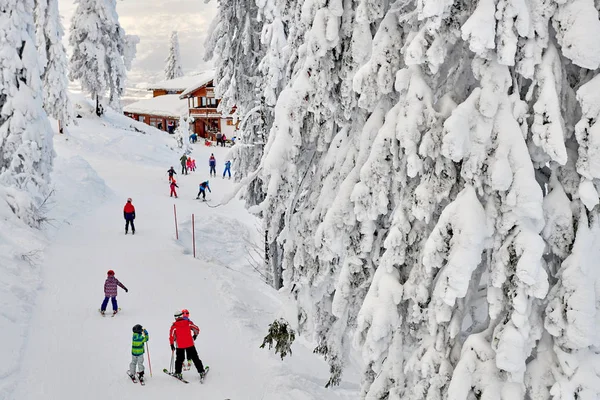 Wooden Chalets Spectacular Ski Slopes Carpathians Panoramic View Ski Slope — Stock Photo, Image