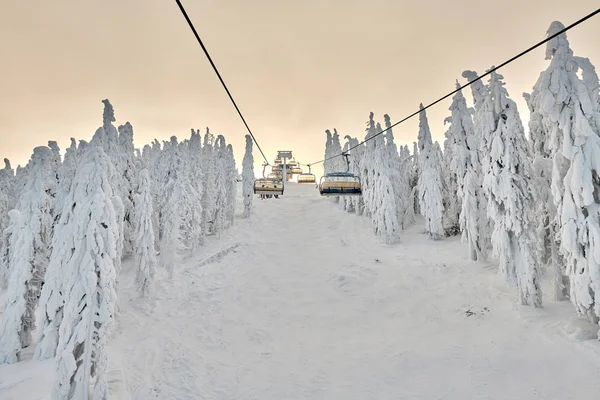 Telesilla Poiana Brasov Estación Esquí Esquiadores Snowboarders Disfrutar Las Pistas — Foto de Stock