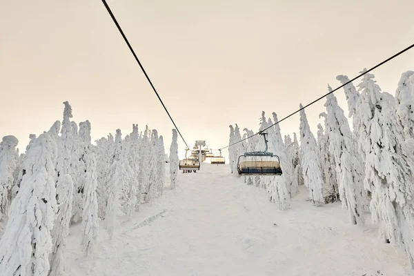 Chair lift in Poiana Brasov ski resort, Skiers and snowboarders enjoy the ski slopes in Poiana Brasov winter resort whit forest covered in snow on winter season