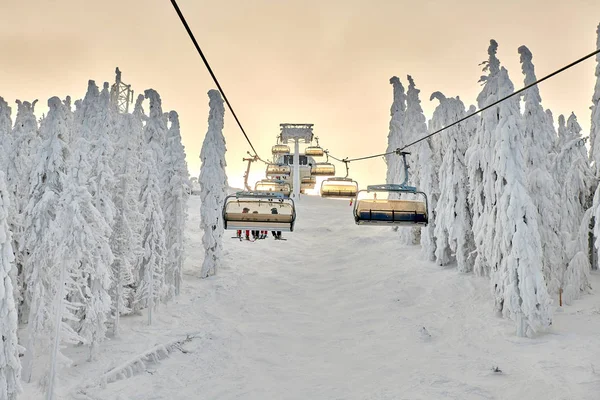 Télésiège Poiana Brasov Station Ski Les Skieurs Les Snowboarders Profitent — Photo