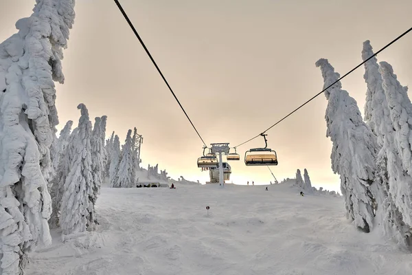 Chair lift in Poiana Brasov ski resort, Skiers and snowboarders enjoy the ski slopes in Poiana Brasov winter resort whit forest covered in snow on winter season