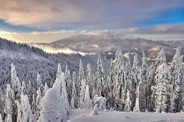 Vista Panorâmica Sobre Pista Esqui Poiana Brasov Estância Esqui Transilvânia — Fotografia de Stock