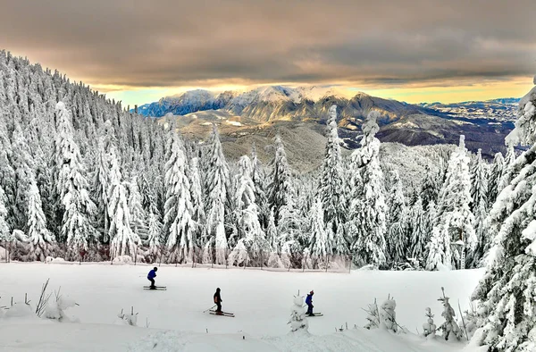 Panoramautsikt Över Skidbacken Skidorten Poiana Brasov Transsylvanien Tallskogen Täcks Snö — Stockfoto